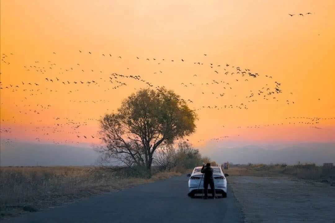 【EV扑克】第三届“河海杯”山东东营重磅升级，定档2026年3月20日至3月24日