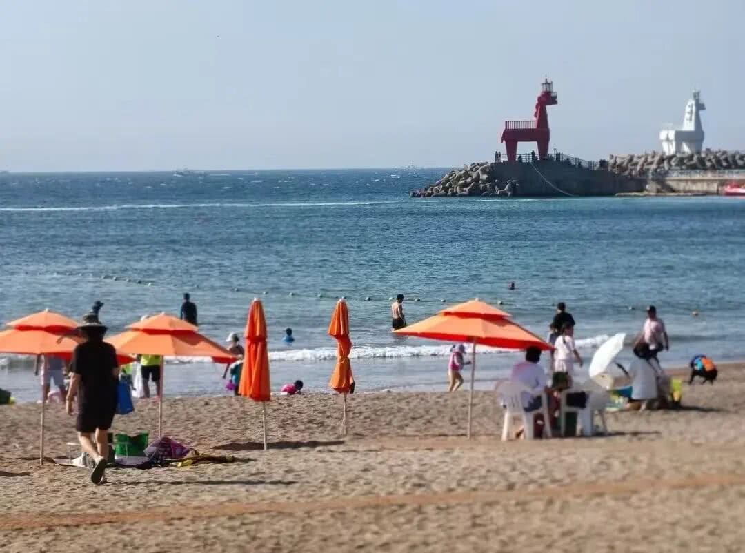 【EV扑克】红龙杯PLUS赛后指南：别再赶景点了，这才是济州最顶级的放空方式